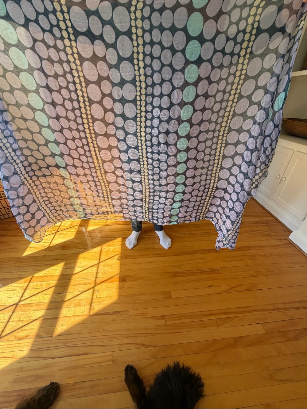 Patterned Multi-Color Home Accent Curtain Panel
